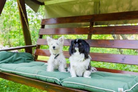 Poppelstrand Nuuksio, Pet Friendly Guest Apartment エクステリア 写真