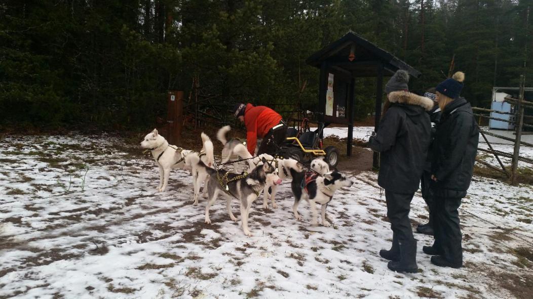 Poppelstrand Nuuksio, Pet Friendly Guest Apartment エクステリア 写真